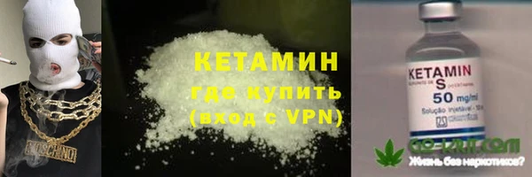 сатива Абаза