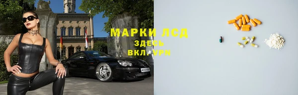 сатива Абаза