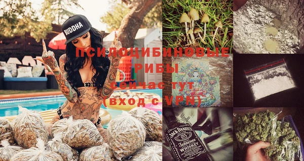 сатива Абаза