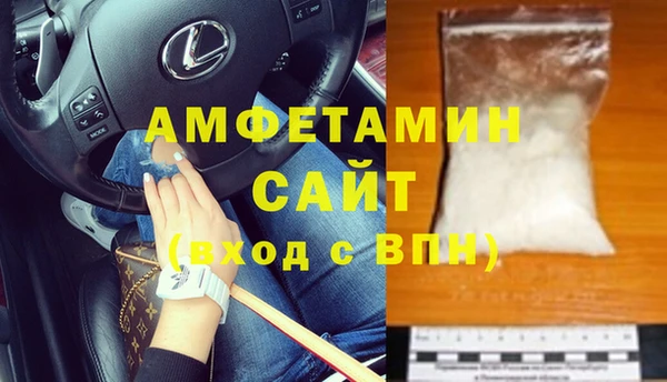 сатива Абаза