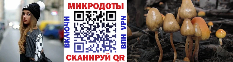 ОМГ ОМГ ONION  Починок  Псилоцибиновые грибы Psilocybe 
