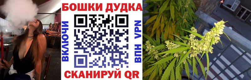 Канабис гибрид  Починок 